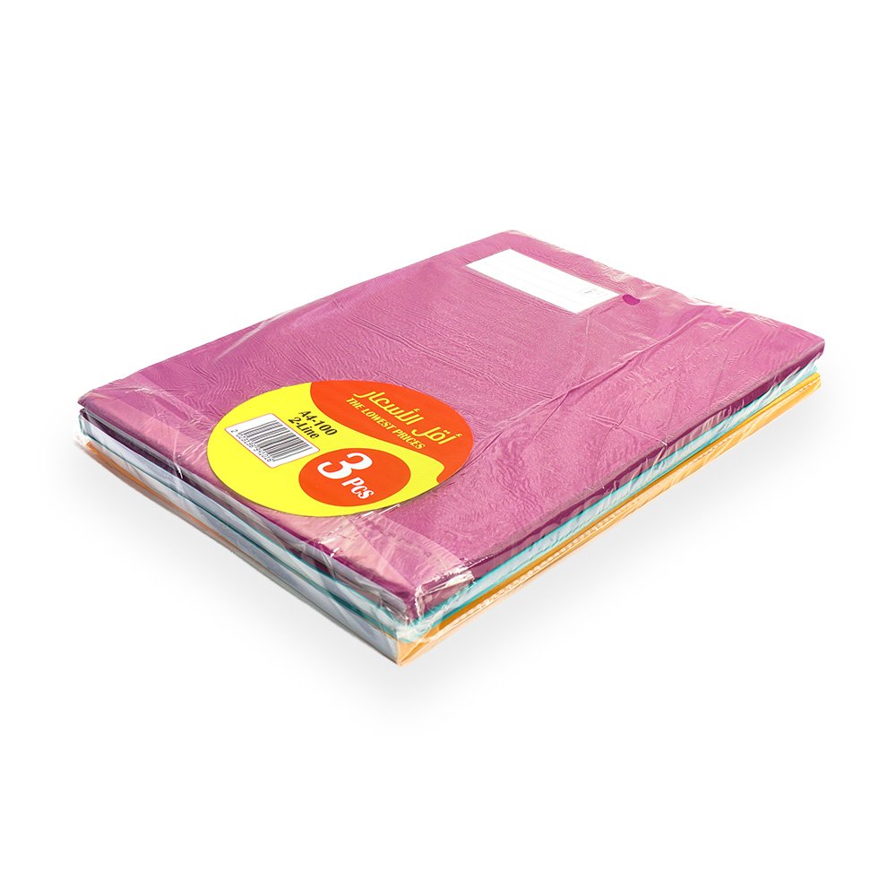 A4 2 Line School Notebook Value Pack 100 Sheets 3 Pieces