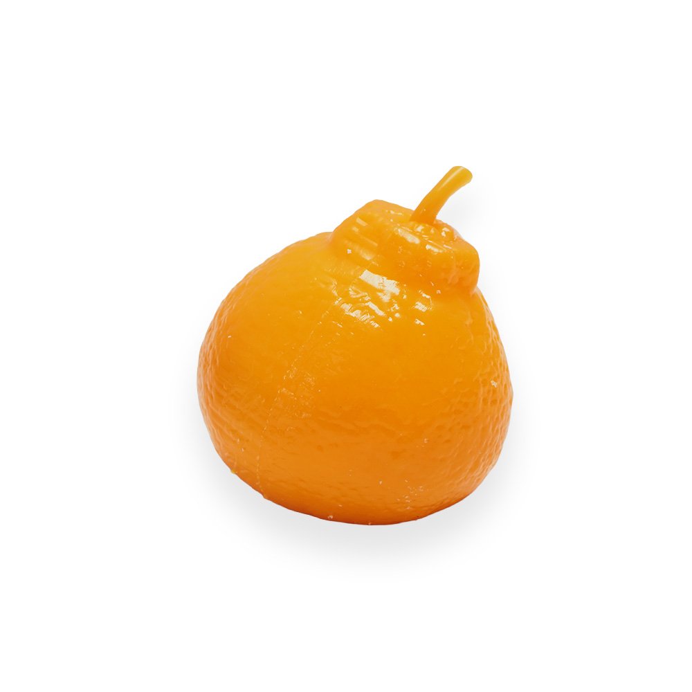 Orange Fruit Squishy