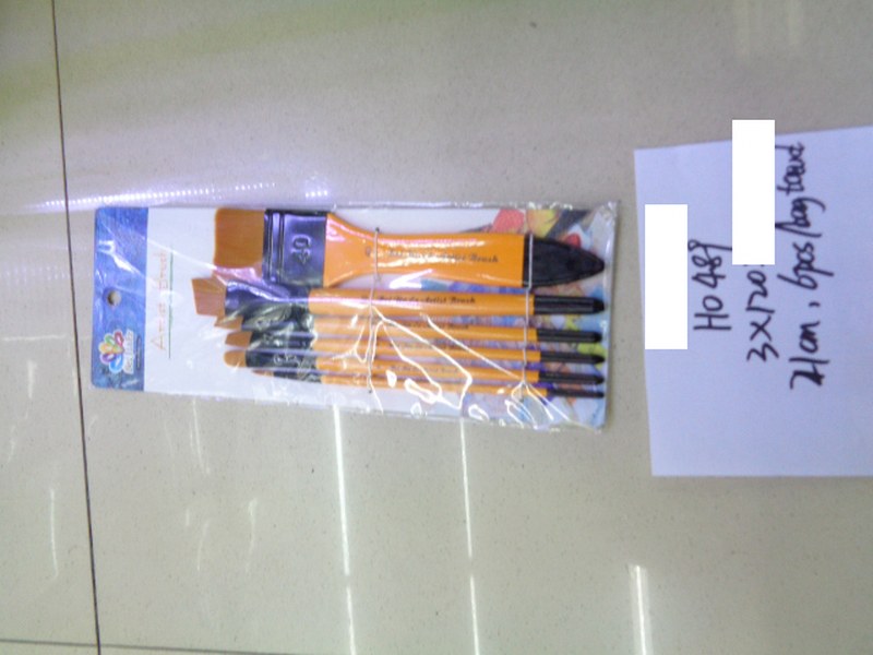 Paint Brushes- 6 Pieces