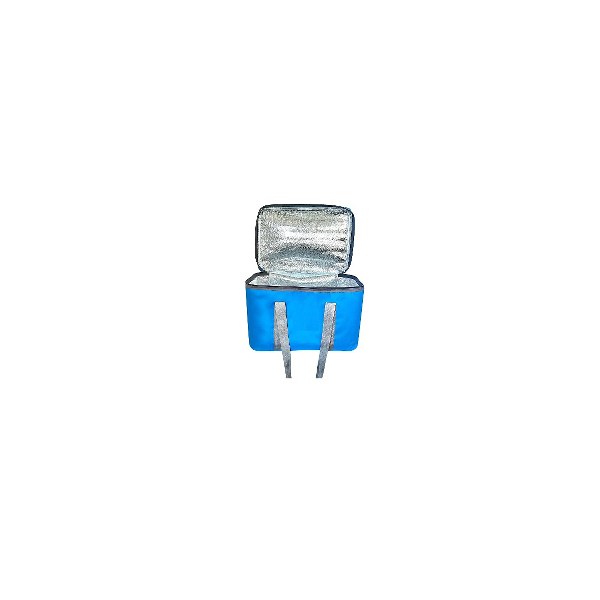 Cooler bag with handles 25 LT