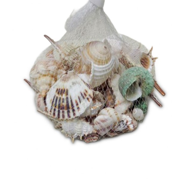 Shell Decoration 300G Netbag