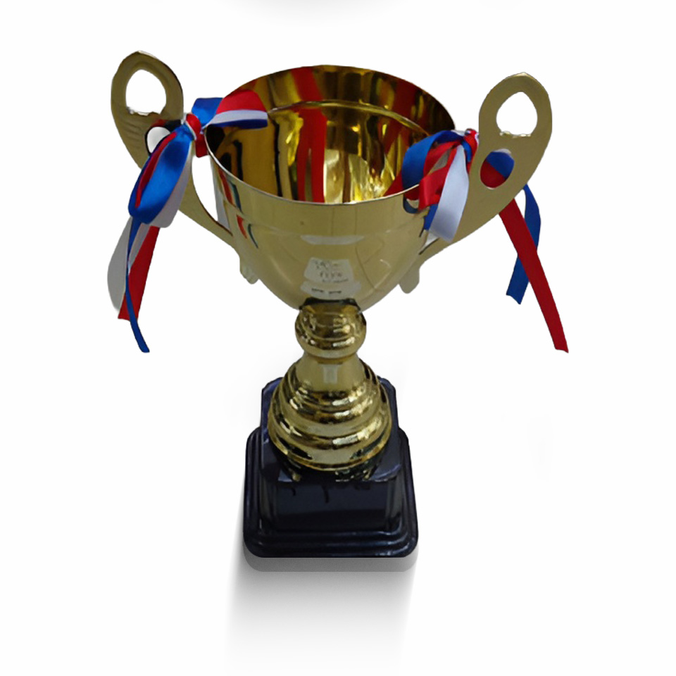 "Metal Trophy- Gold, 37cm"