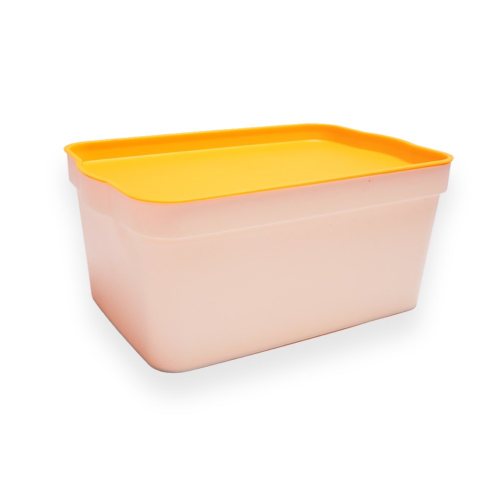 Multipurpose Organizer Box with Orange Lid