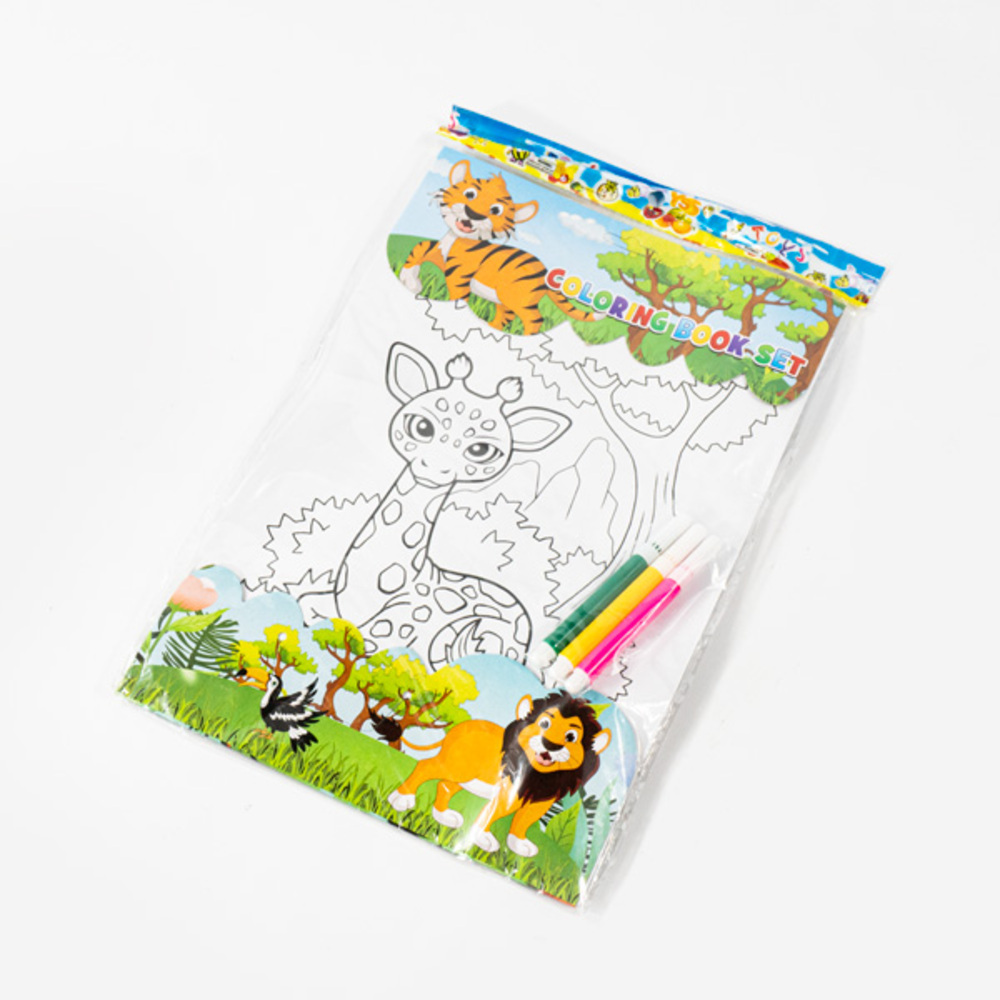 Color Book Set- 19x28cm