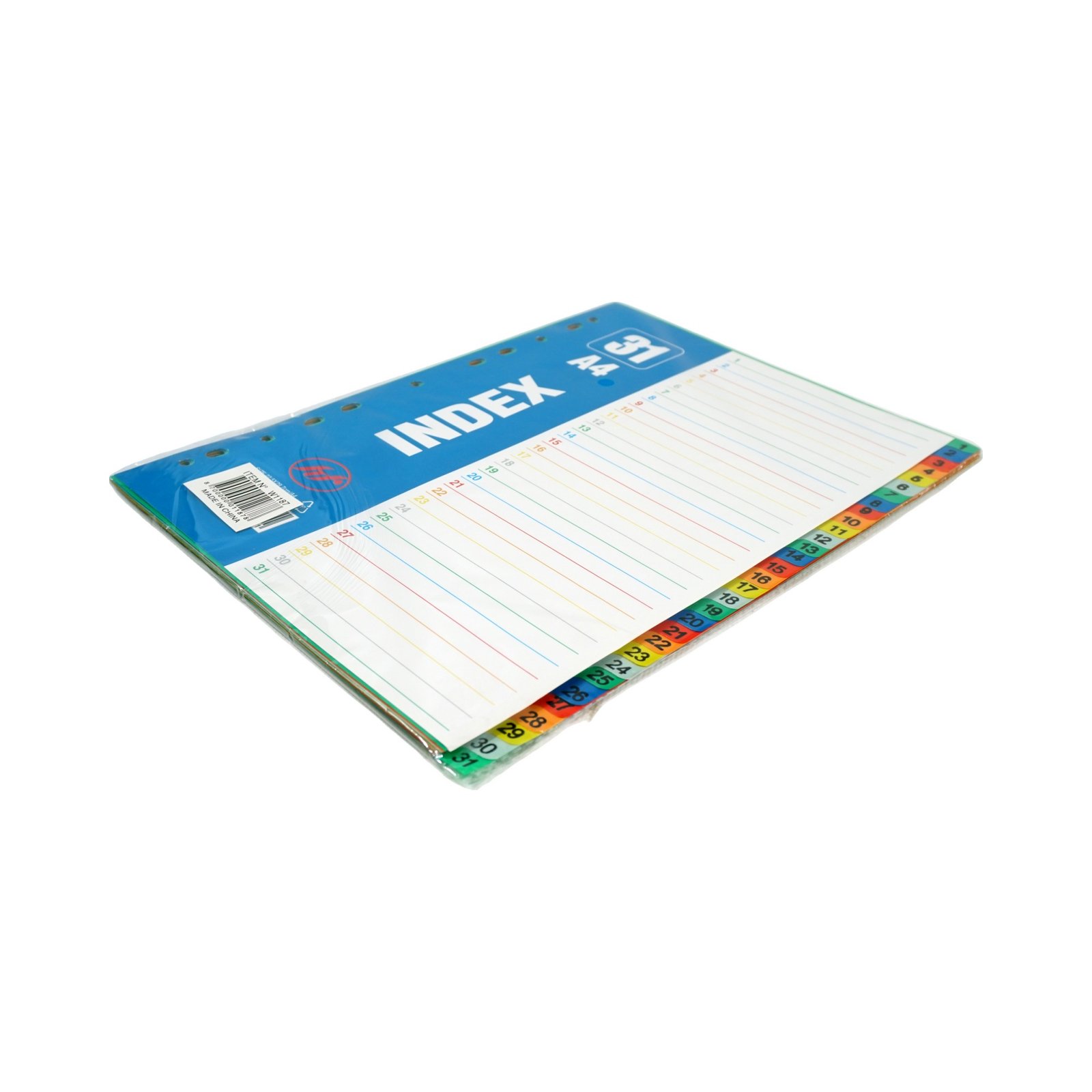 A4 Filing Organizer Tabs- 31 Sheets