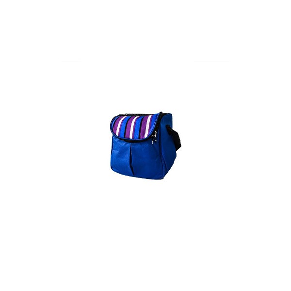 Picnic ice bag 21*15*24cm